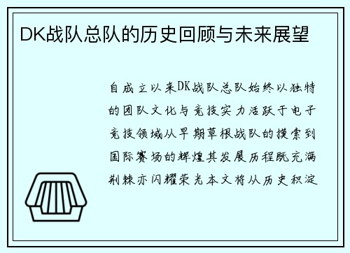 DK战队总队的历史回顾与未来展望